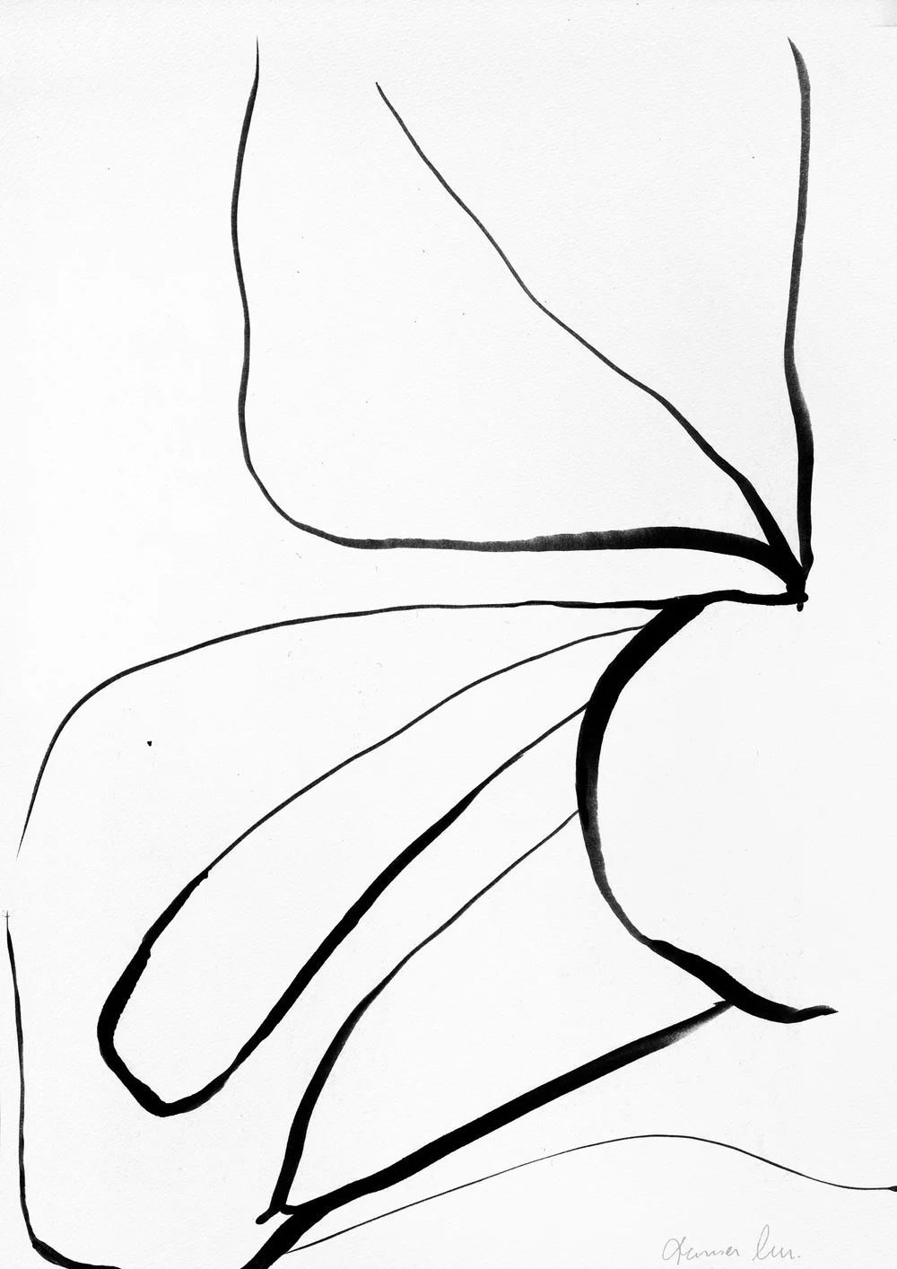 Dessin minimaliste contemporain noir et blanc inspiré du mouvement naturel des fleurs et des courbes végétales