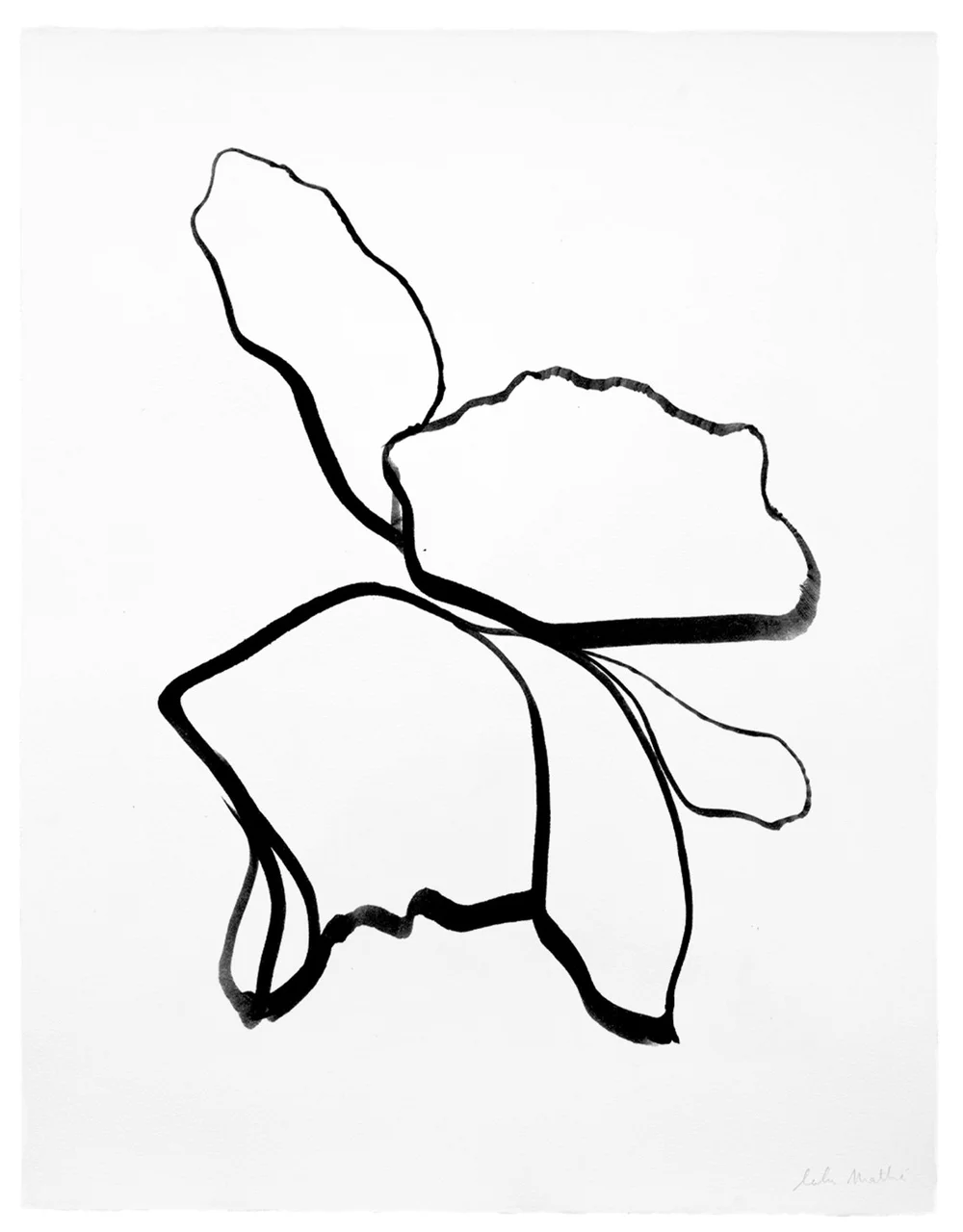 Dessin contemporain à l’encre noire avec formes florales abstraites et lignes organiques minimalistes