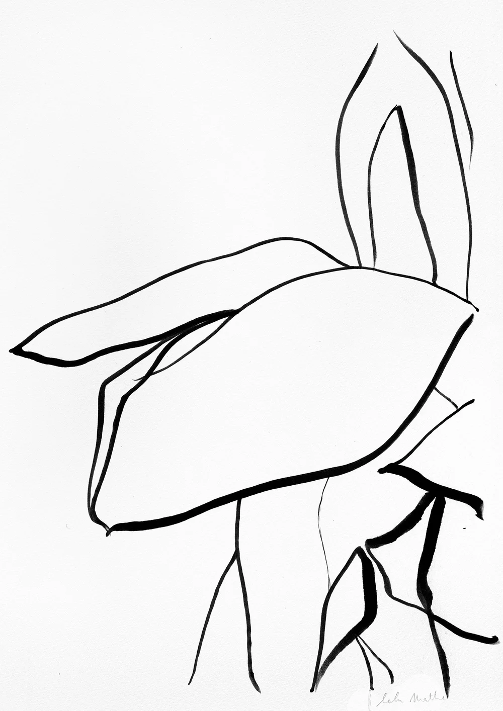 Dessin abstrait contemporain noir et blanc inspiré des mouvements végétaux et des formes naturelles