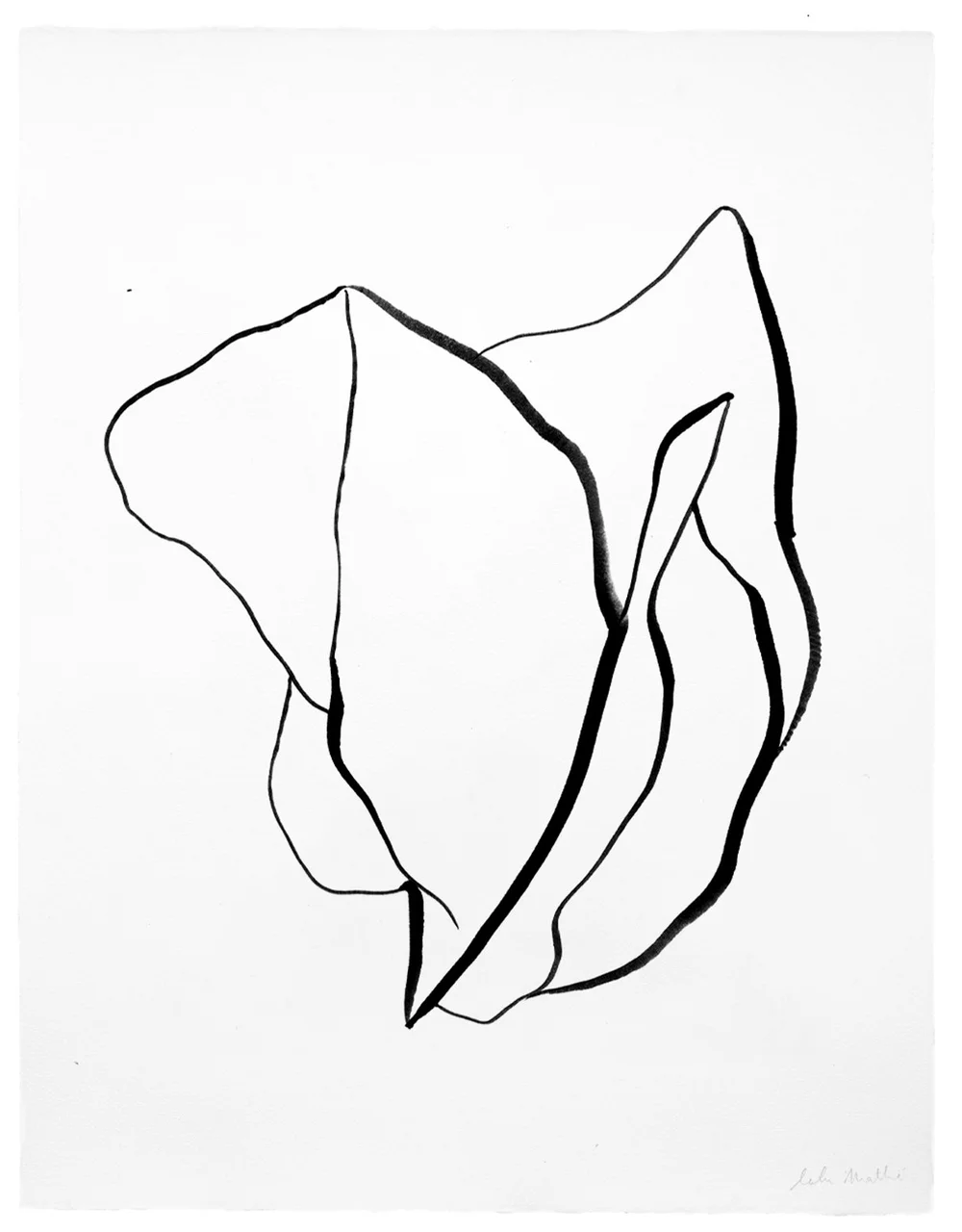 Dessin contemporain à l’encre noire représentant des formes organiques abstraites et fluides sur fond blanc