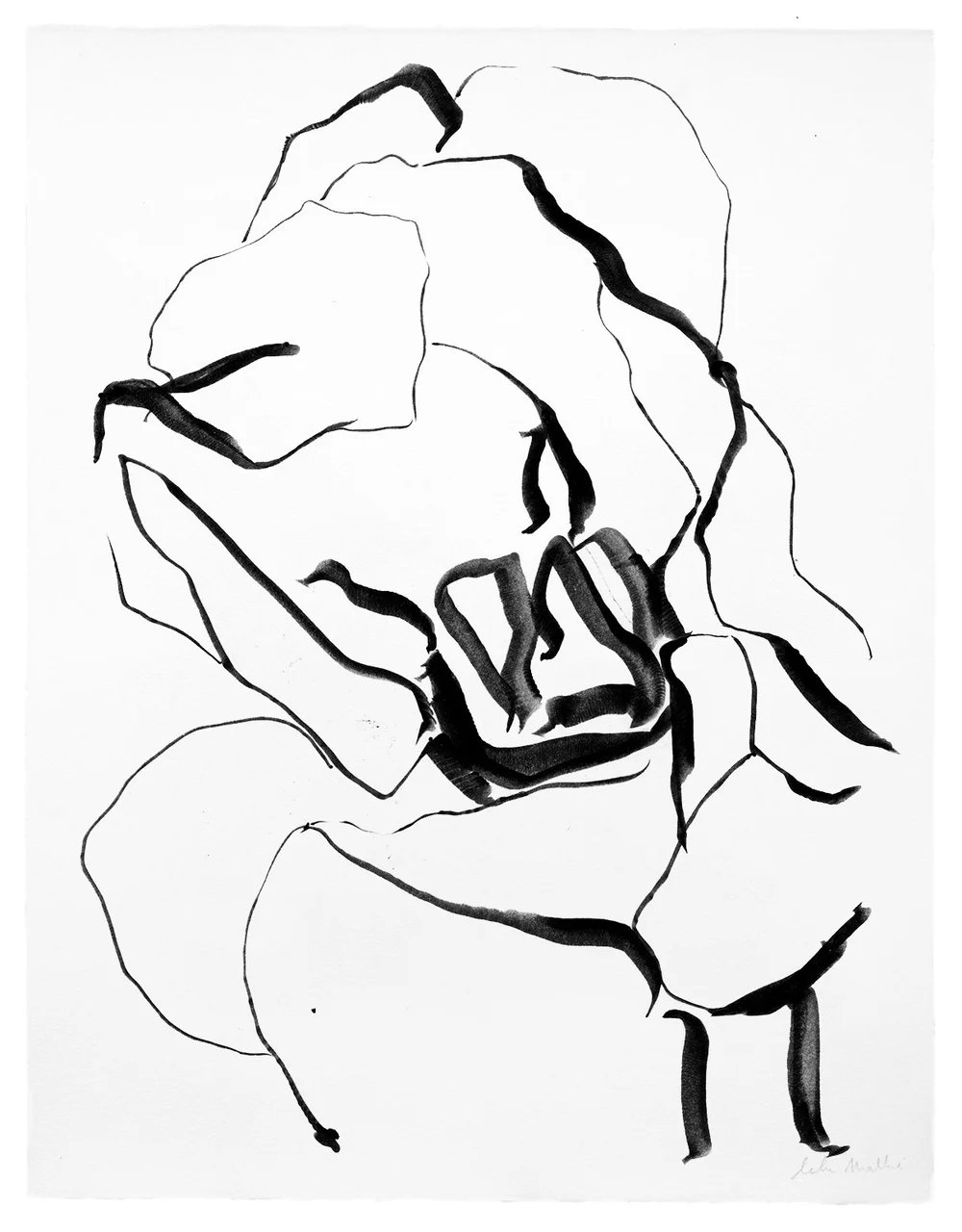 Dessin contemporain à l’encre noire représentant une fleur abstraite aux lignes expressives et organiques