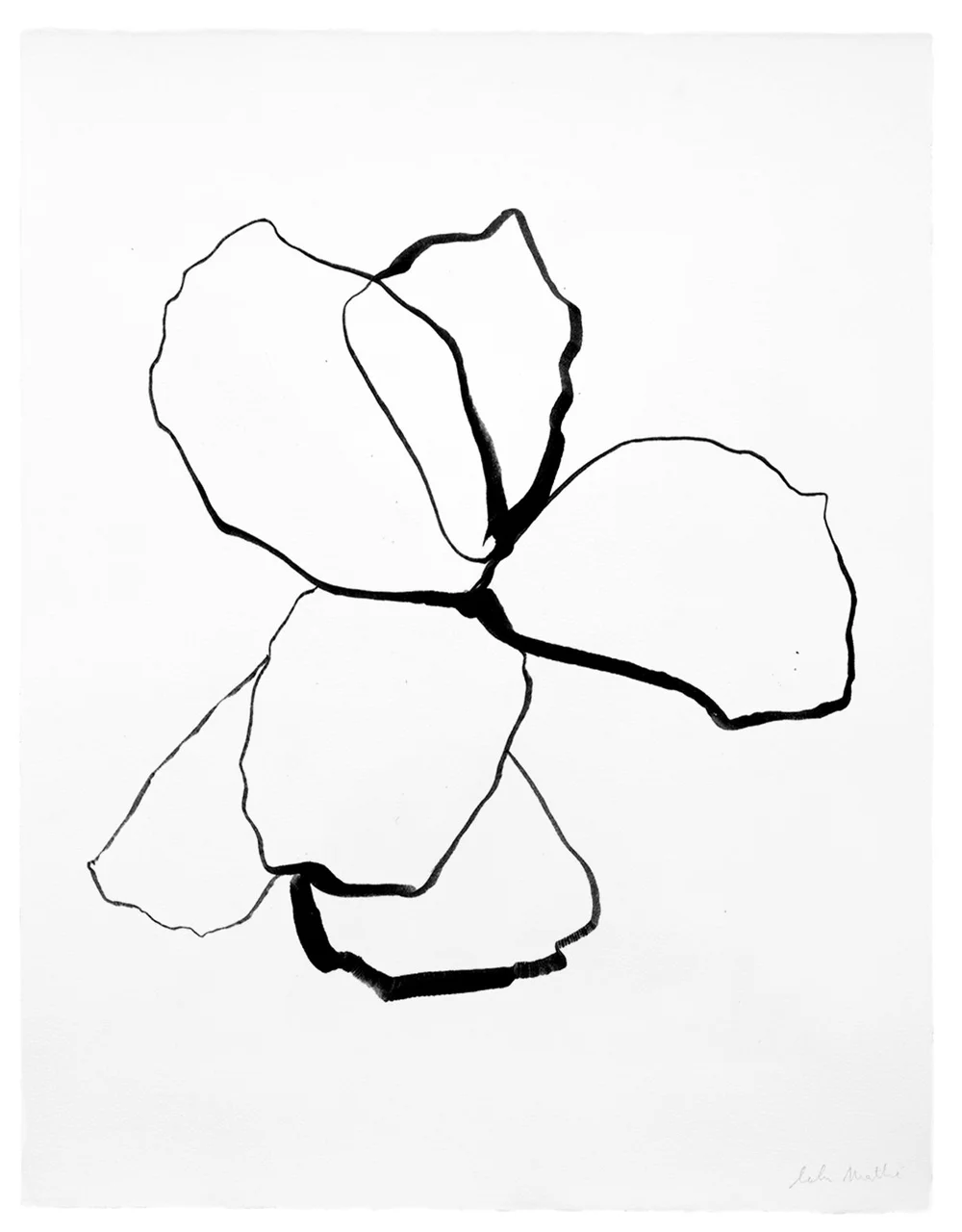 Composition minimaliste à l’encre de Chine avec formes florales stylisées et tracés fluides
