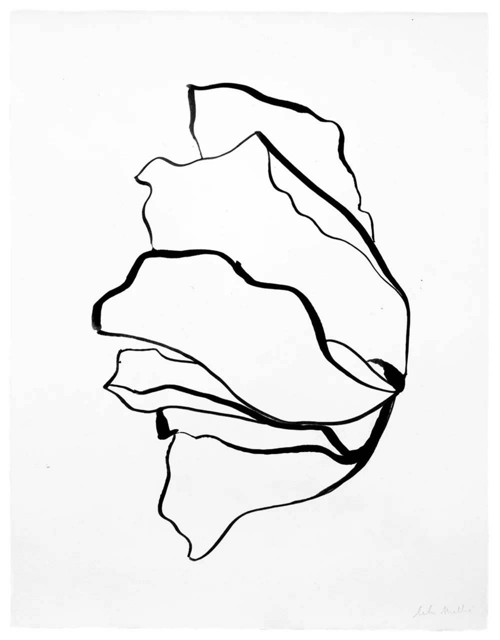 Dessin abstrait contemporain noir et blanc inspiré du mouvement des pétales et des formes naturelles