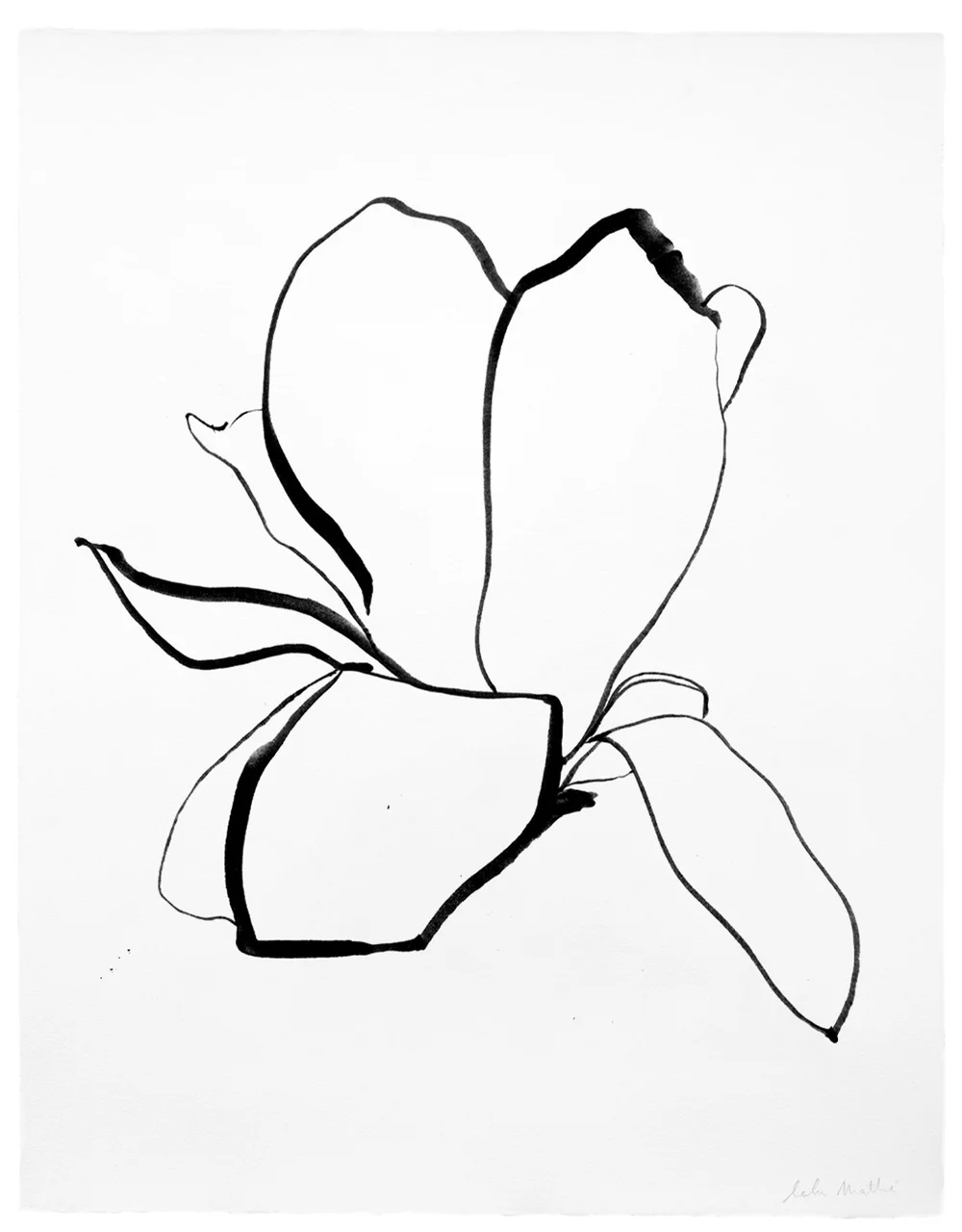 Dessin contemporain à l’encre noire représentant des formes florales abstraites aux lignes fluides et minimalistes