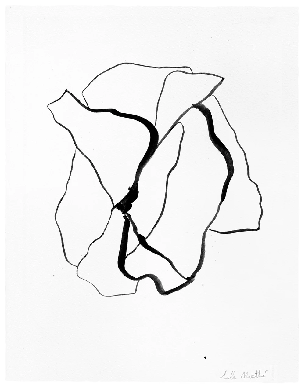 Composition abstraite à l’encre de Chine avec pétales stylisés et tracés organiques noirs sur fond blanc