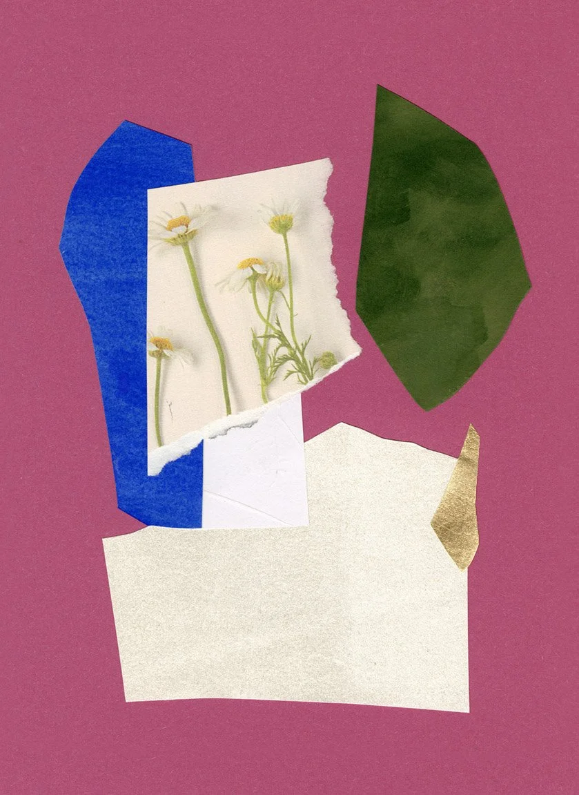 Collage contemporain abstrait rose fuchsia, bleu cobalt et marguerites blanches