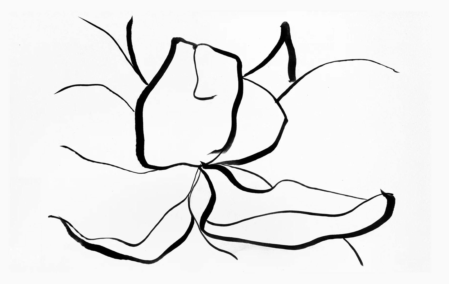 dessin encre oeuvres de lola mathé