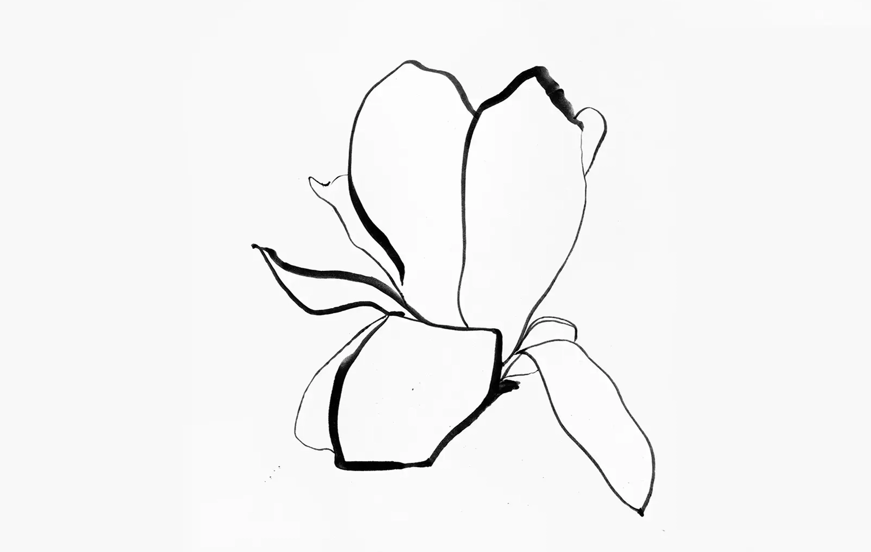 dessins oeuvres de lola mathé