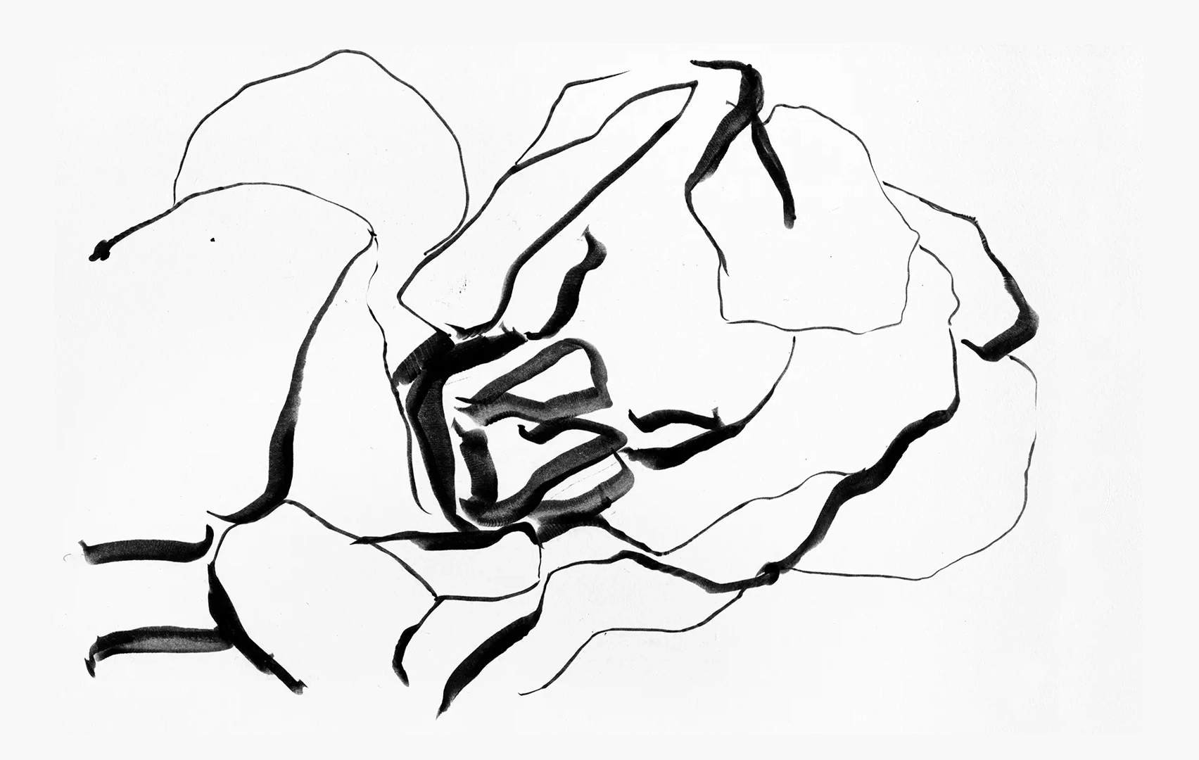 dessin encre oeuvres de lola mathé